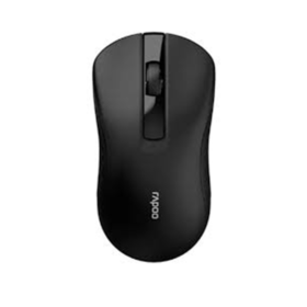 RAPOO B20 Wireless Optical Mouse Black
